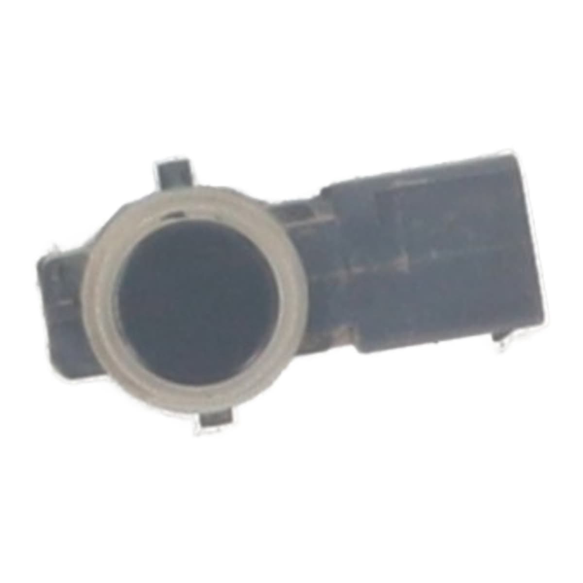 Image sélectionnée