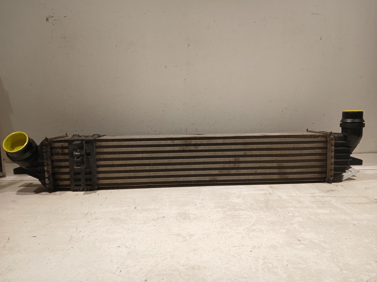 Image sélectionnée