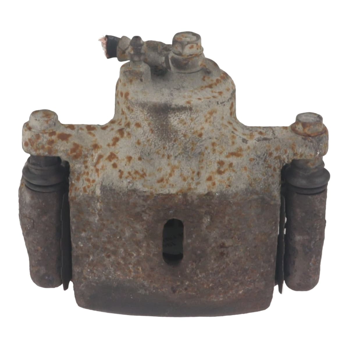 Image sélectionnée