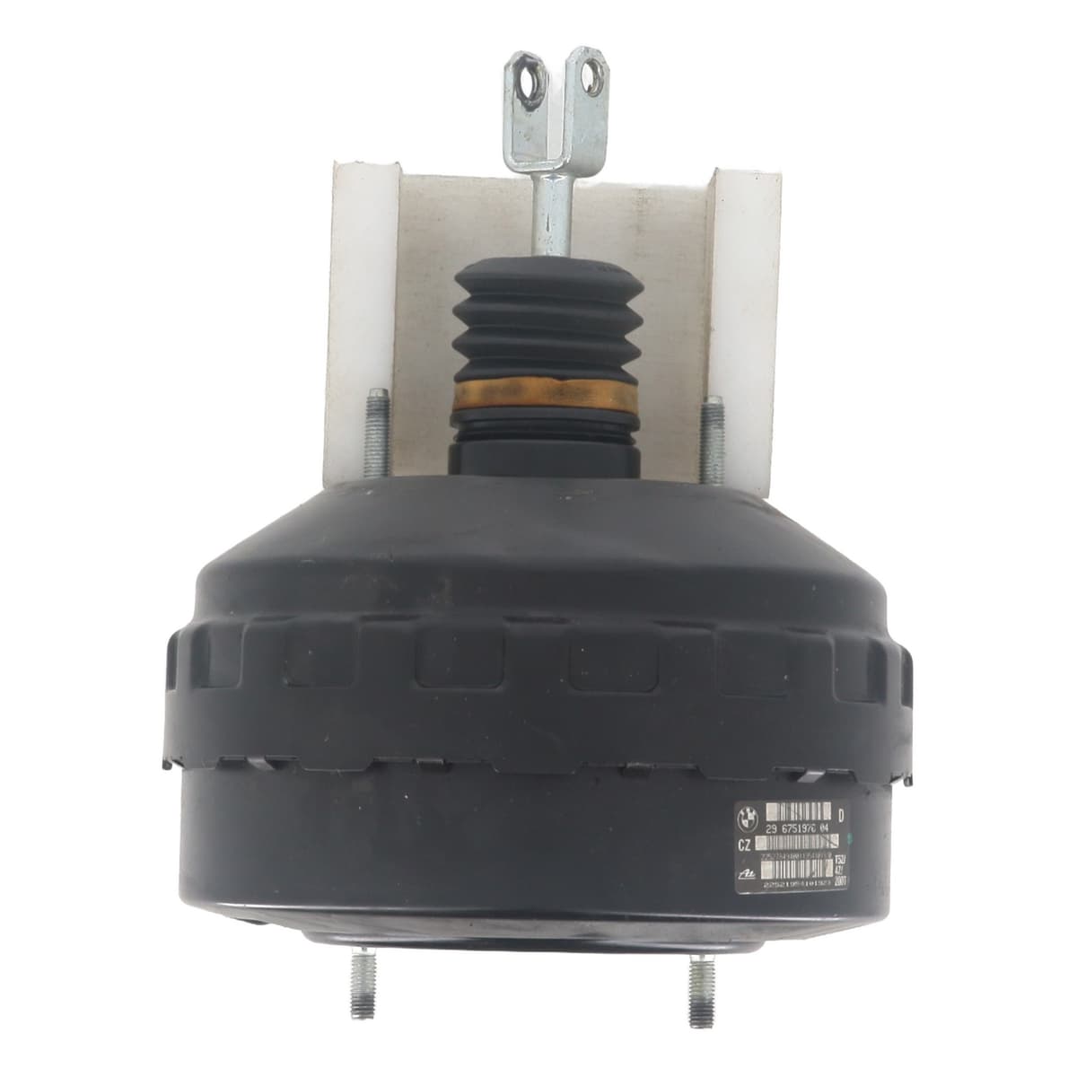 Image sélectionnée