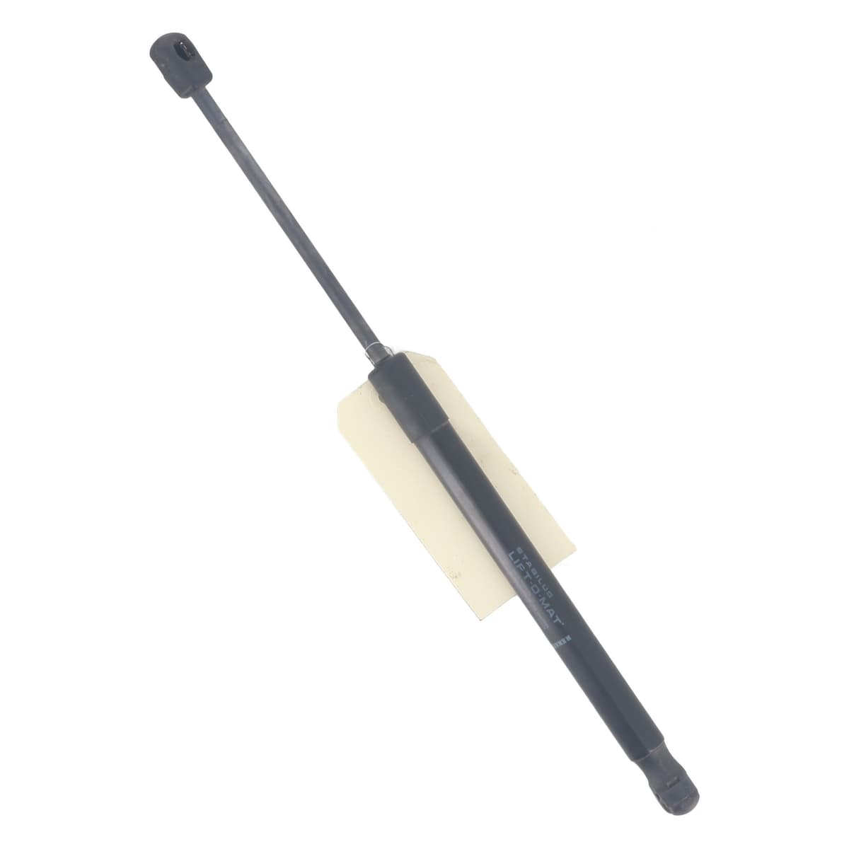 Image sélectionnée