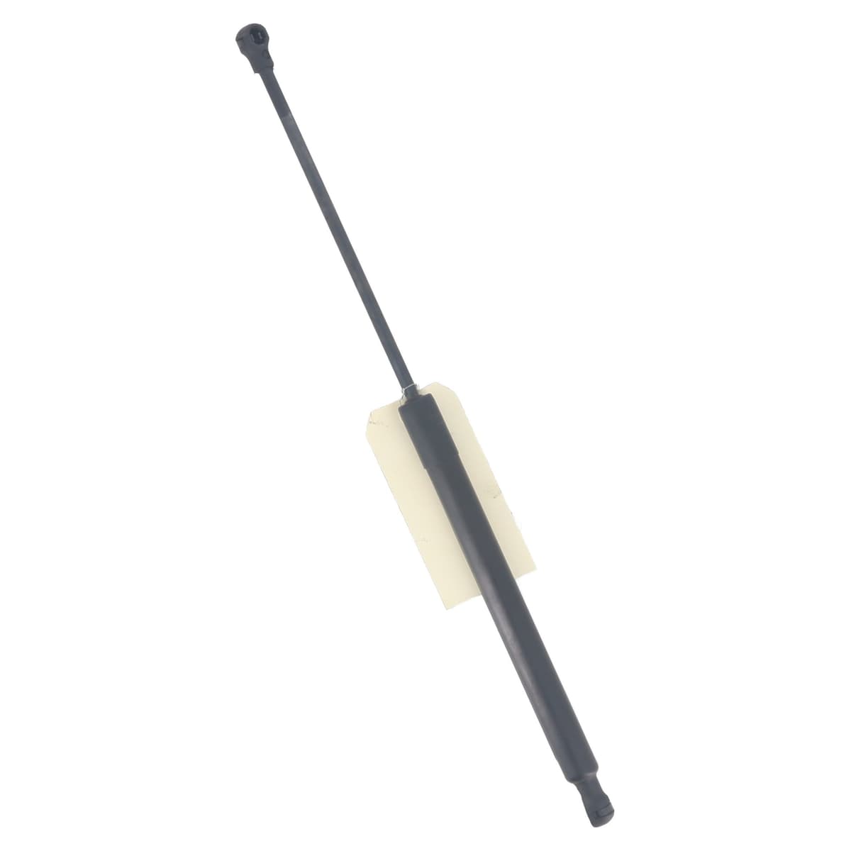 Image sélectionnée