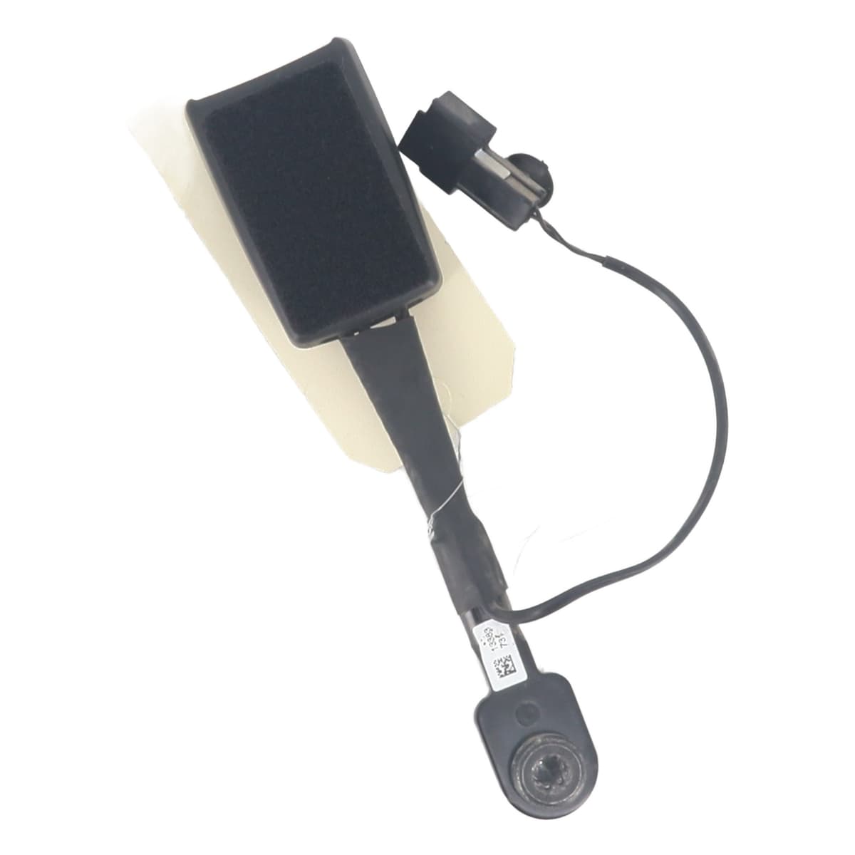 Image sélectionnée