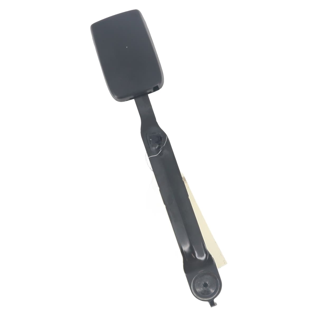 Image sélectionnée