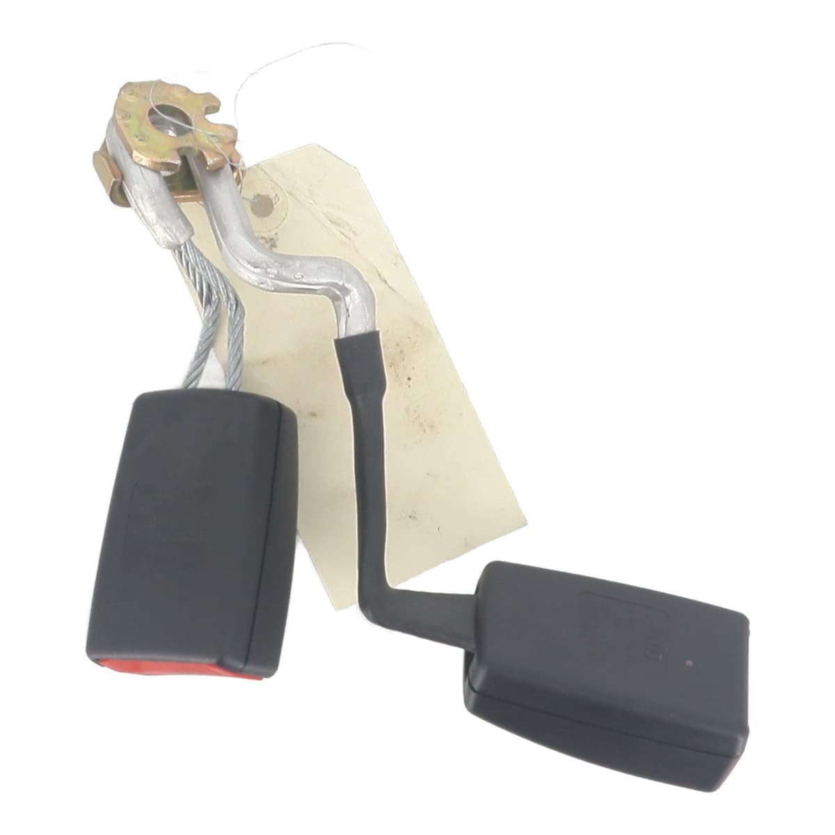 Image sélectionnée