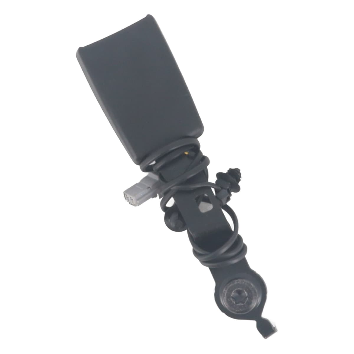 Image sélectionnée