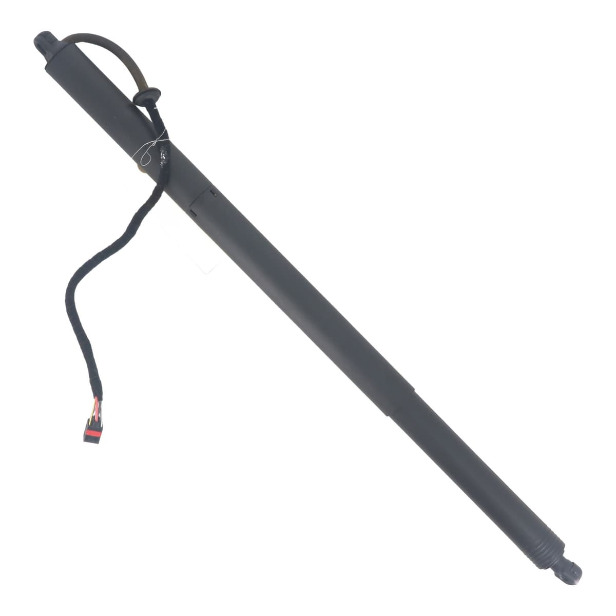 Image sélectionnée