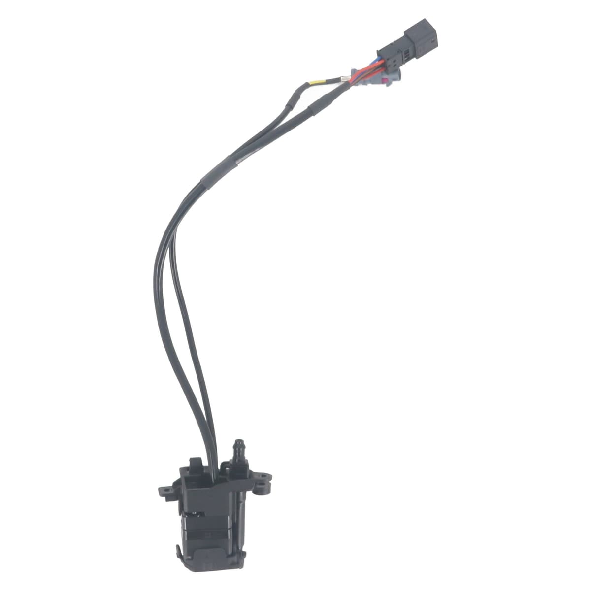 Image sélectionnée