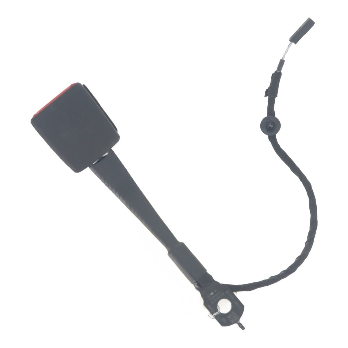 Image sélectionnée