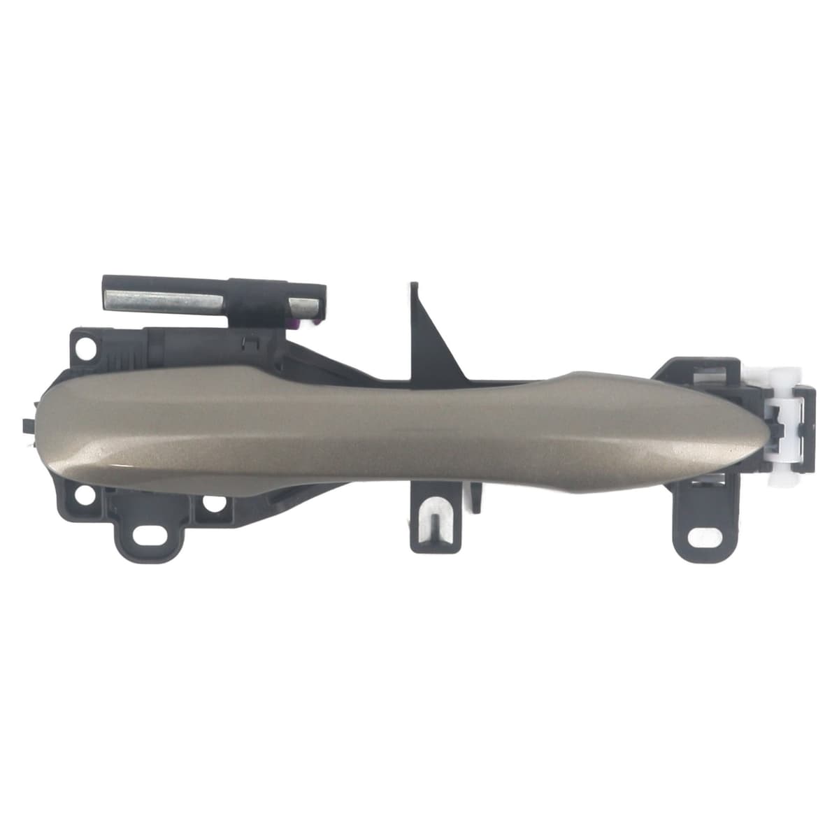 Image sélectionnée