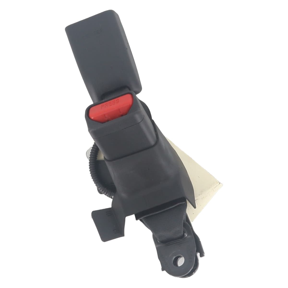 Image sélectionnée