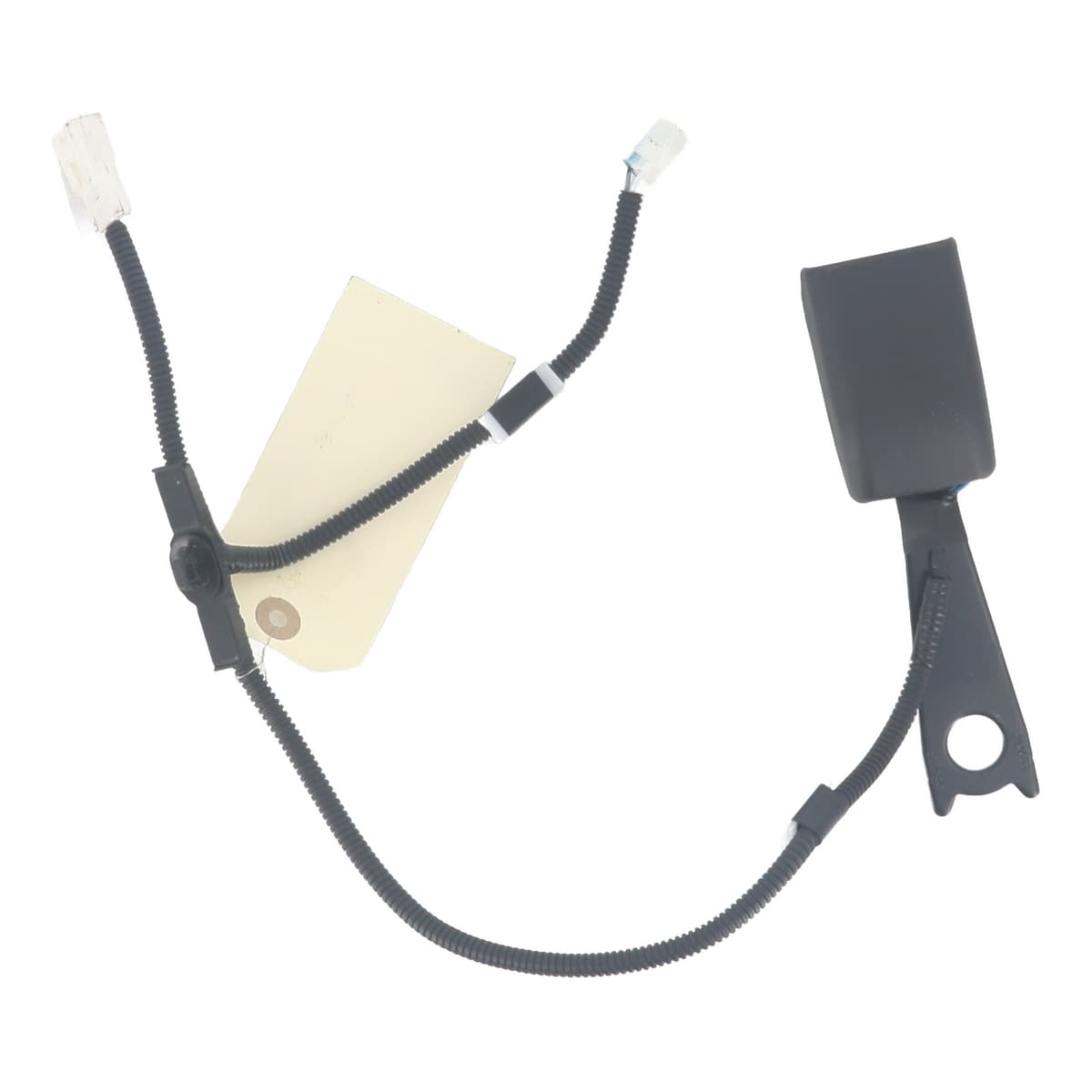 Image sélectionnée