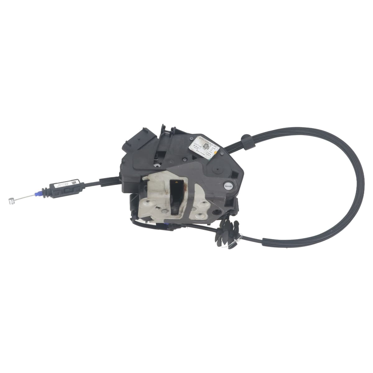 Image sélectionnée