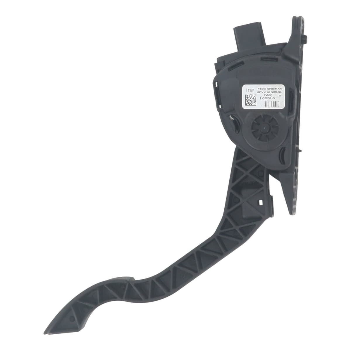 Image sélectionnée