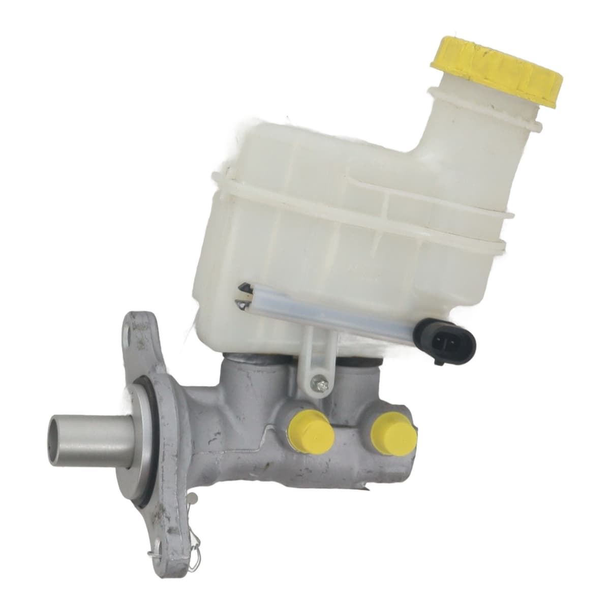 Image sélectionnée