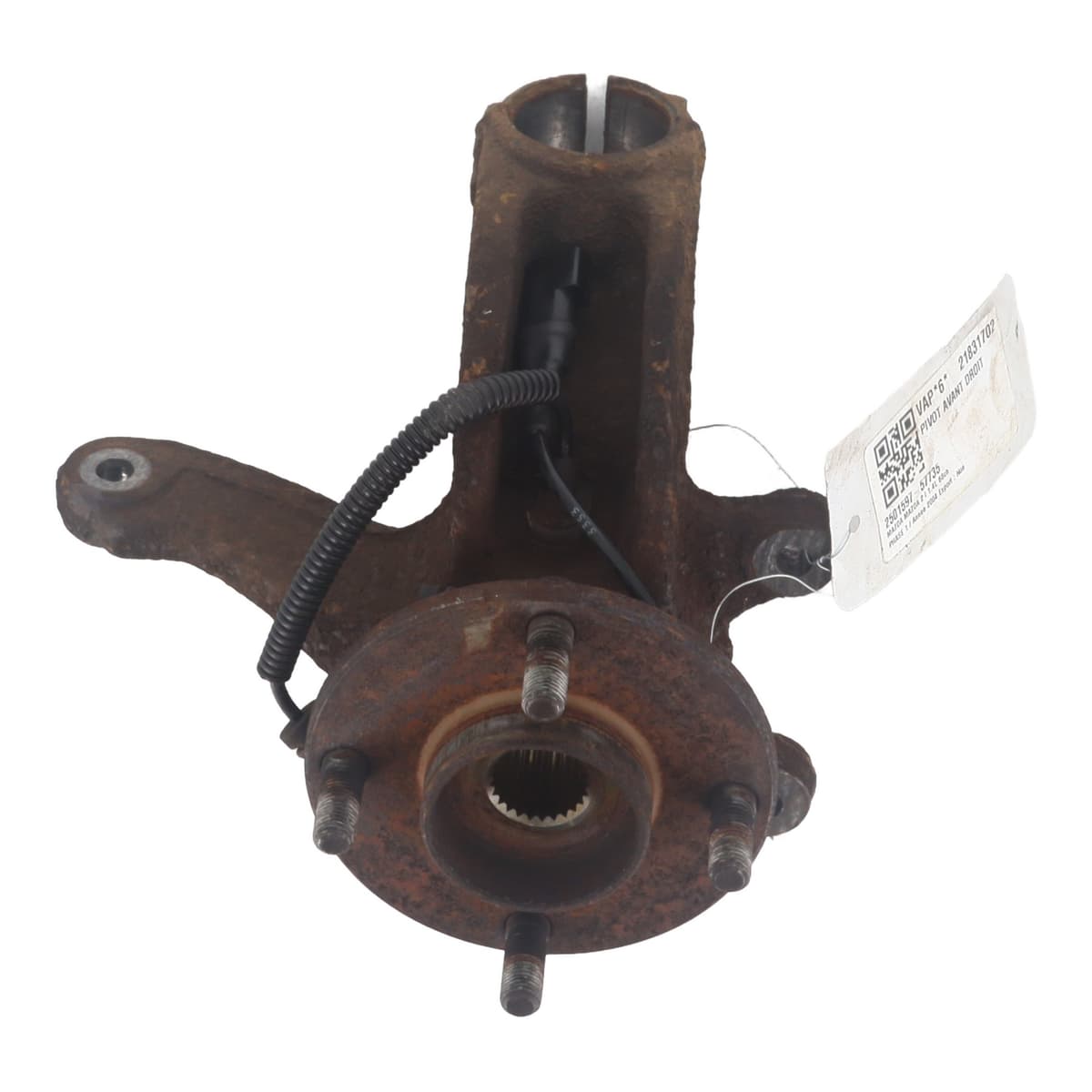 Image sélectionnée