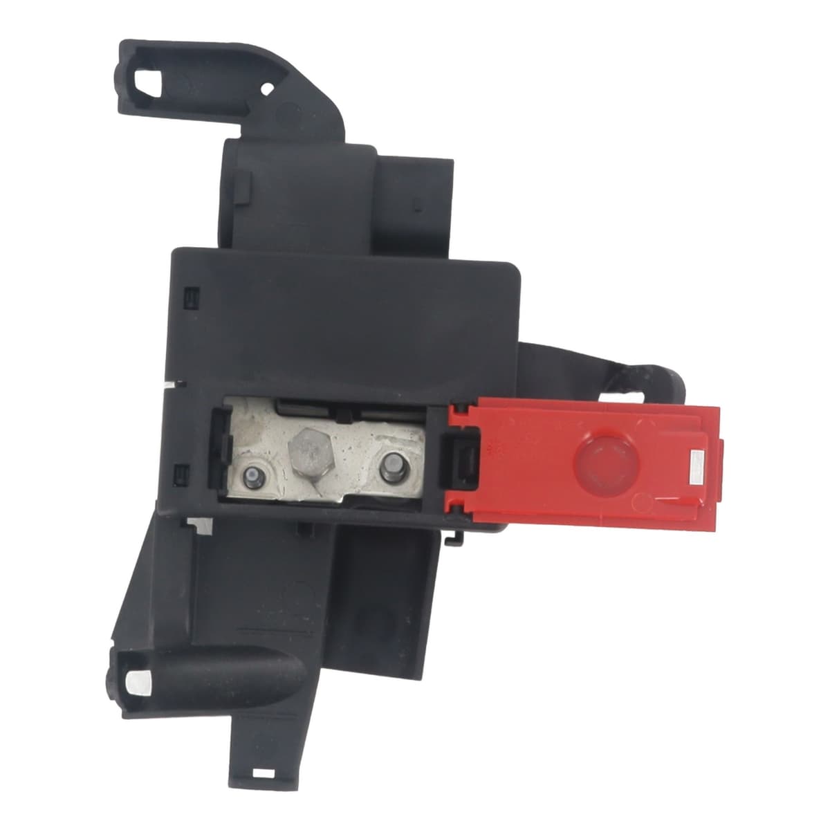 Image sélectionnée