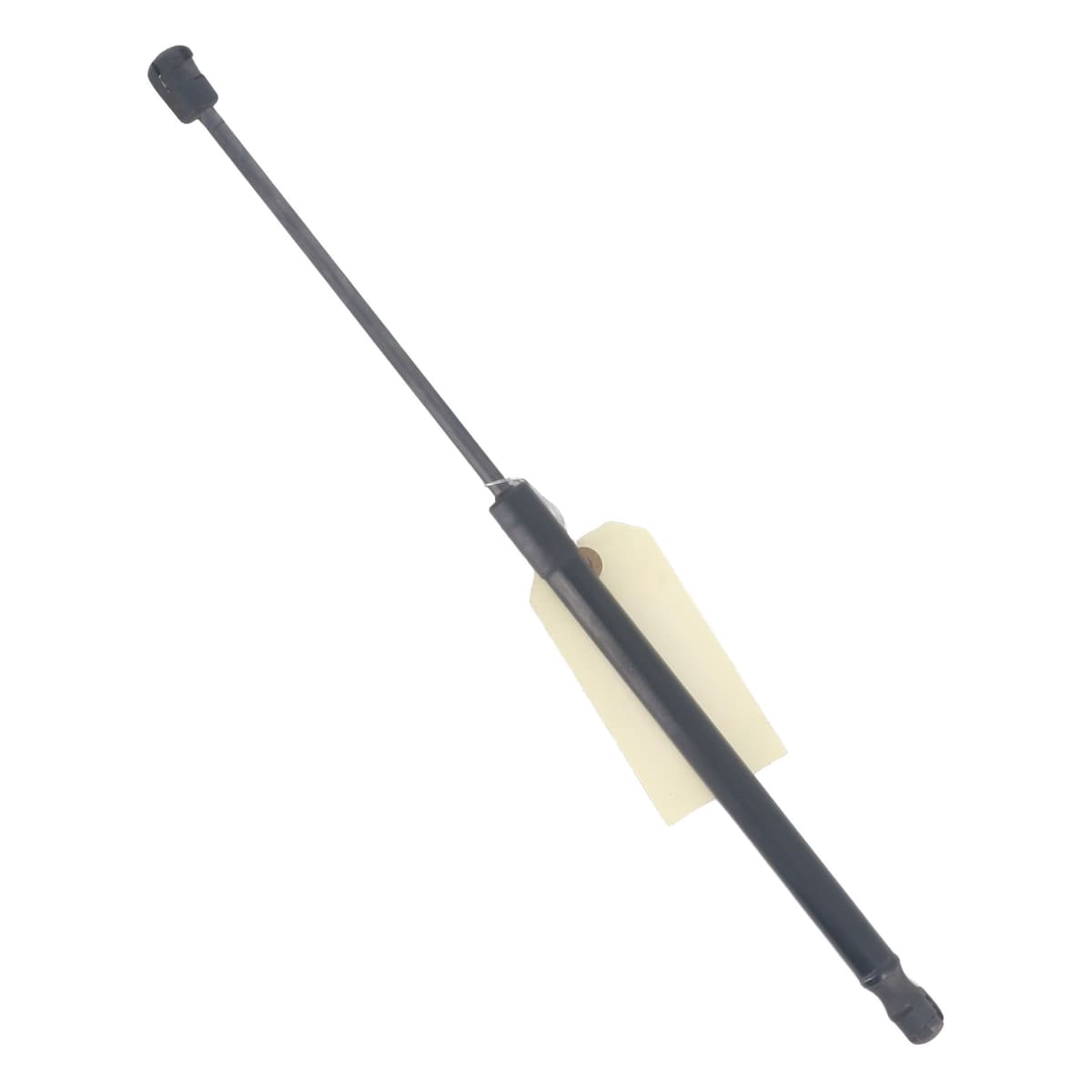 Image sélectionnée