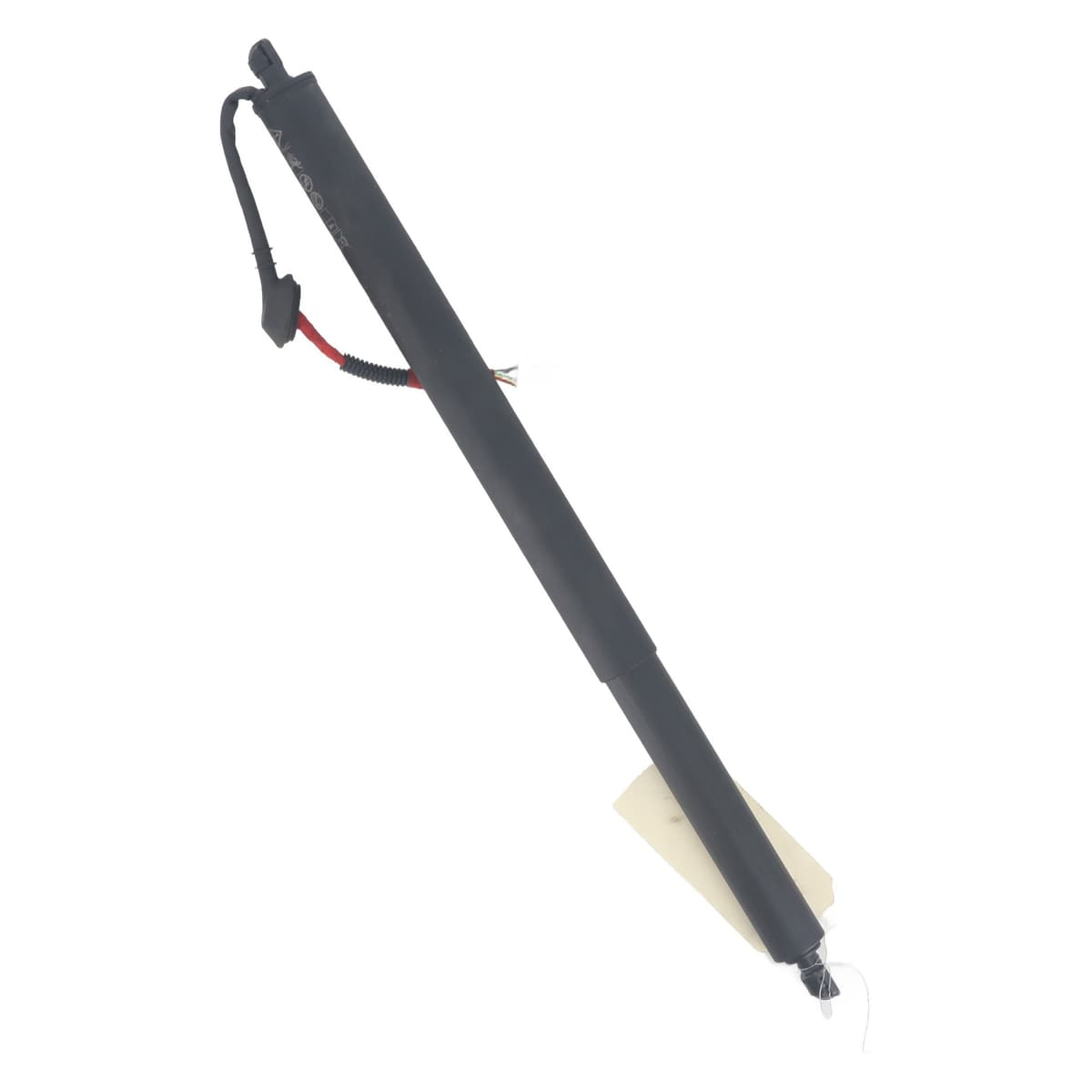 Image sélectionnée