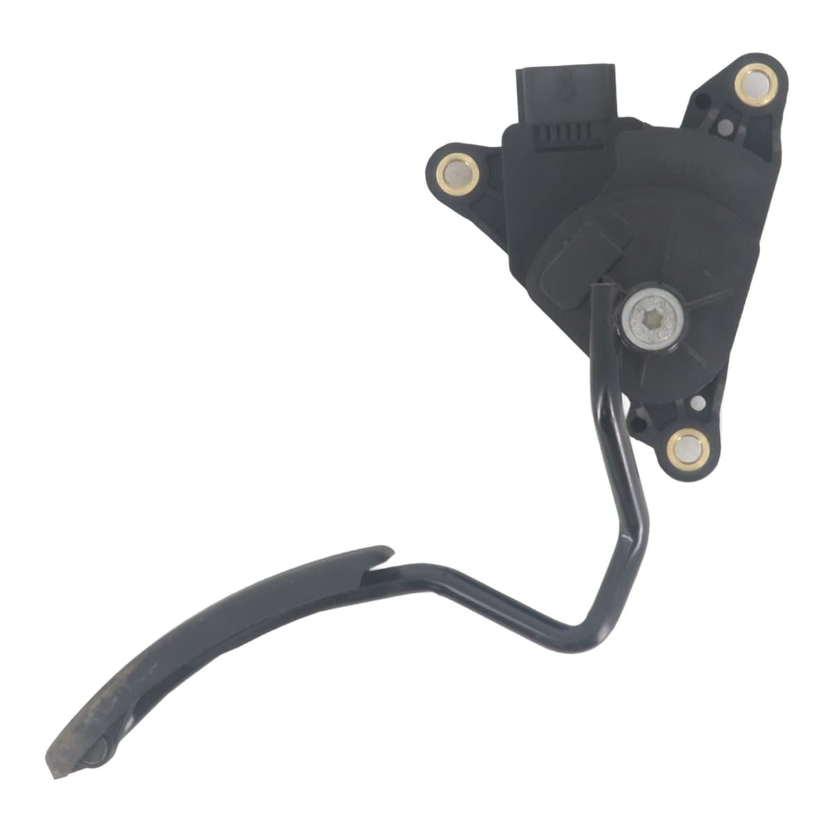 Image sélectionnée