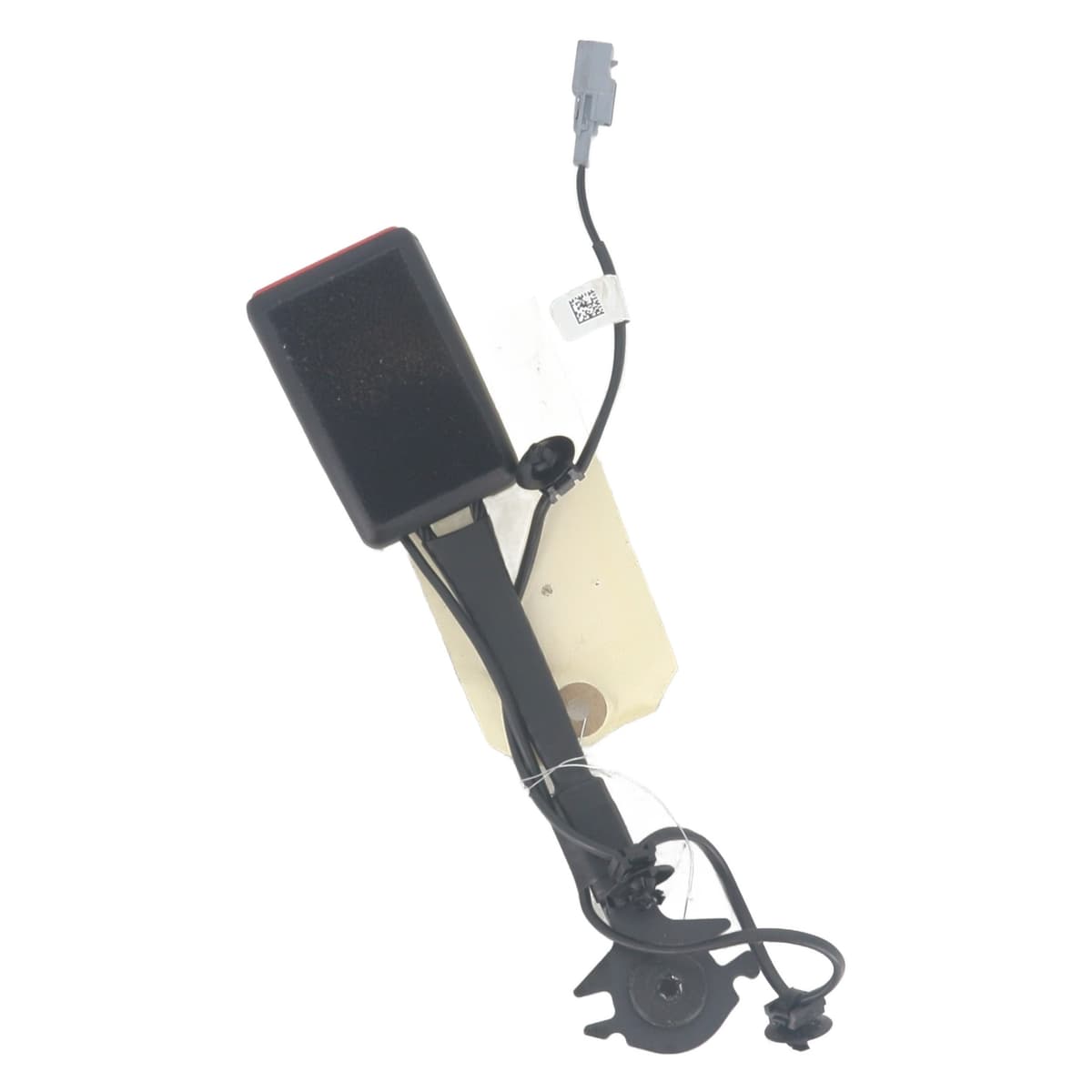 Image sélectionnée