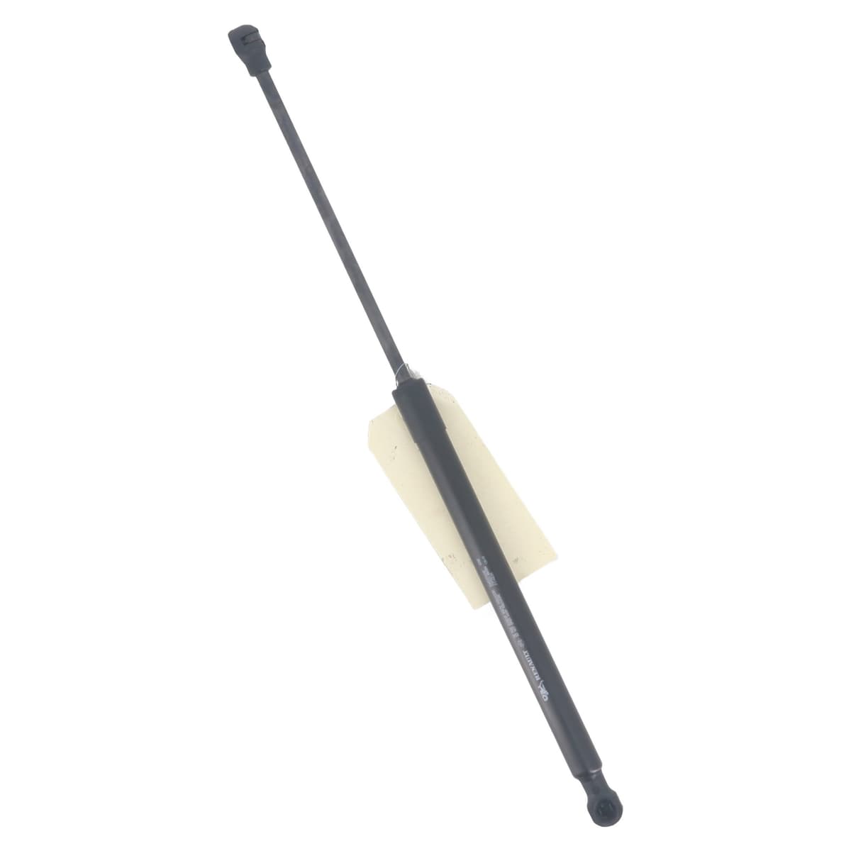 Image sélectionnée