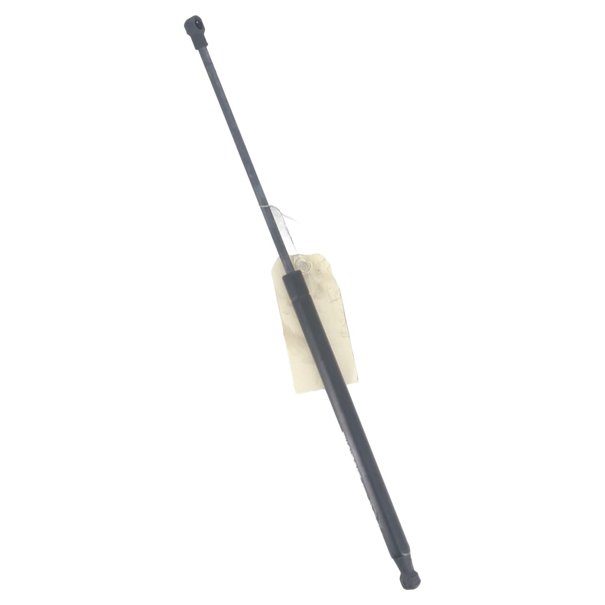 Image sélectionnée