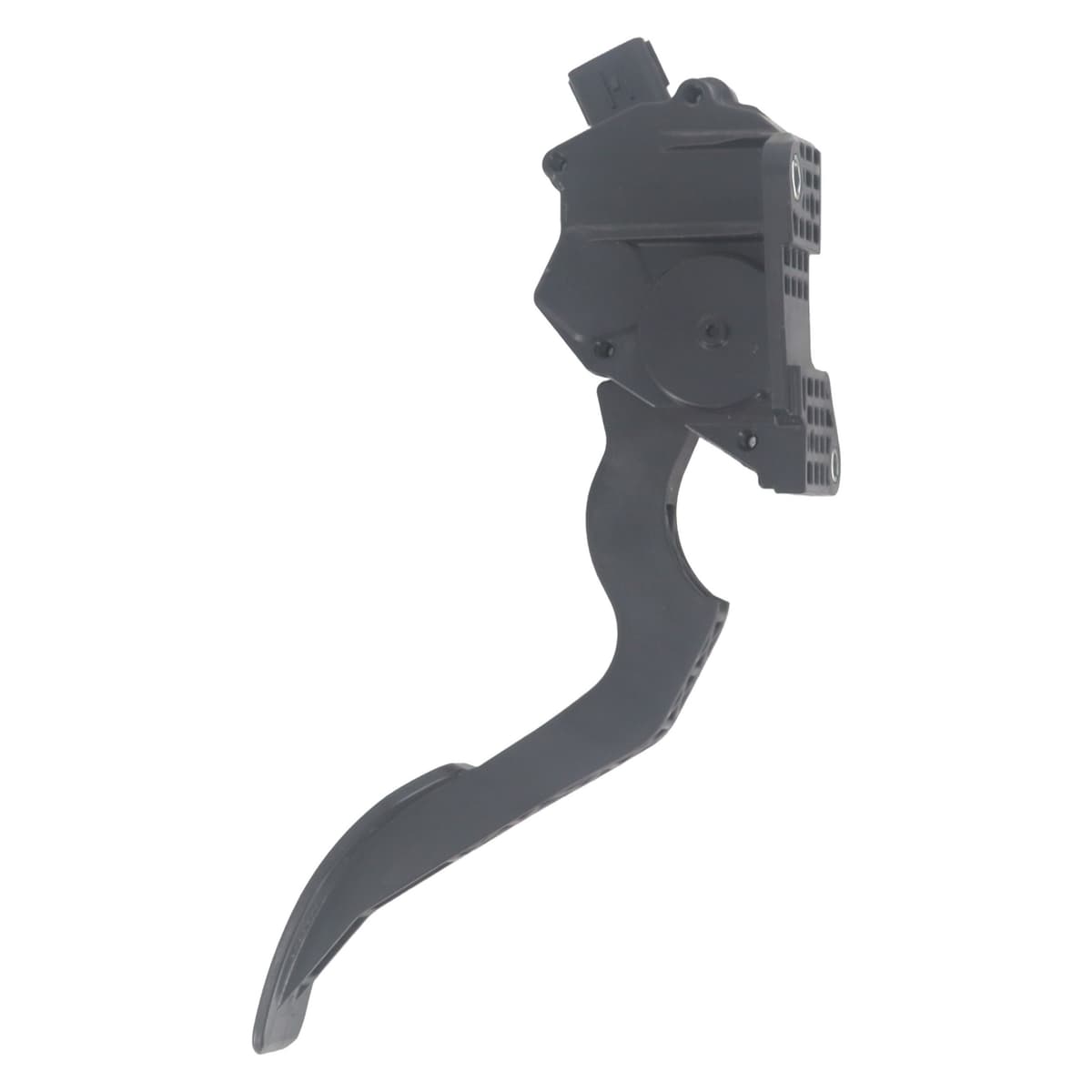 Image sélectionnée