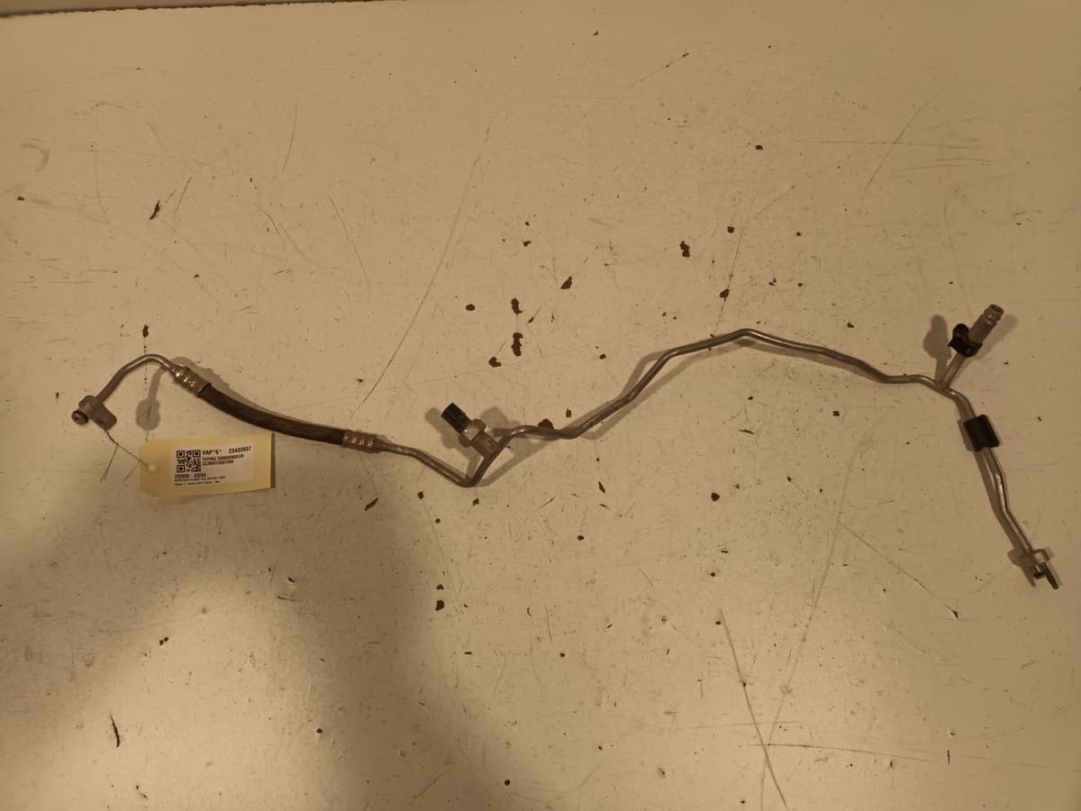 Image sélectionnée