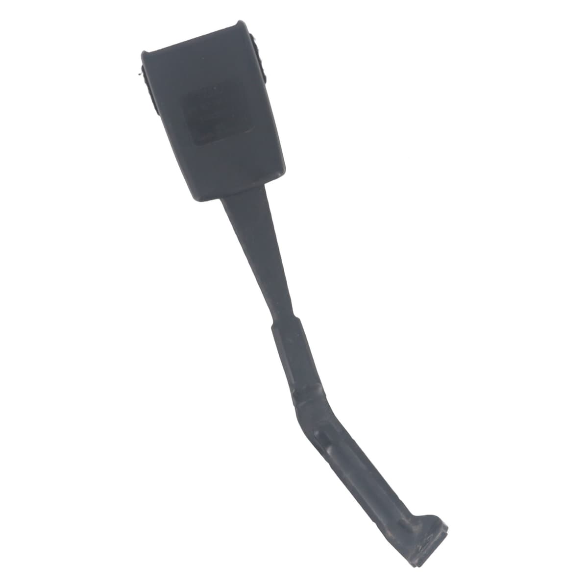 Image sélectionnée