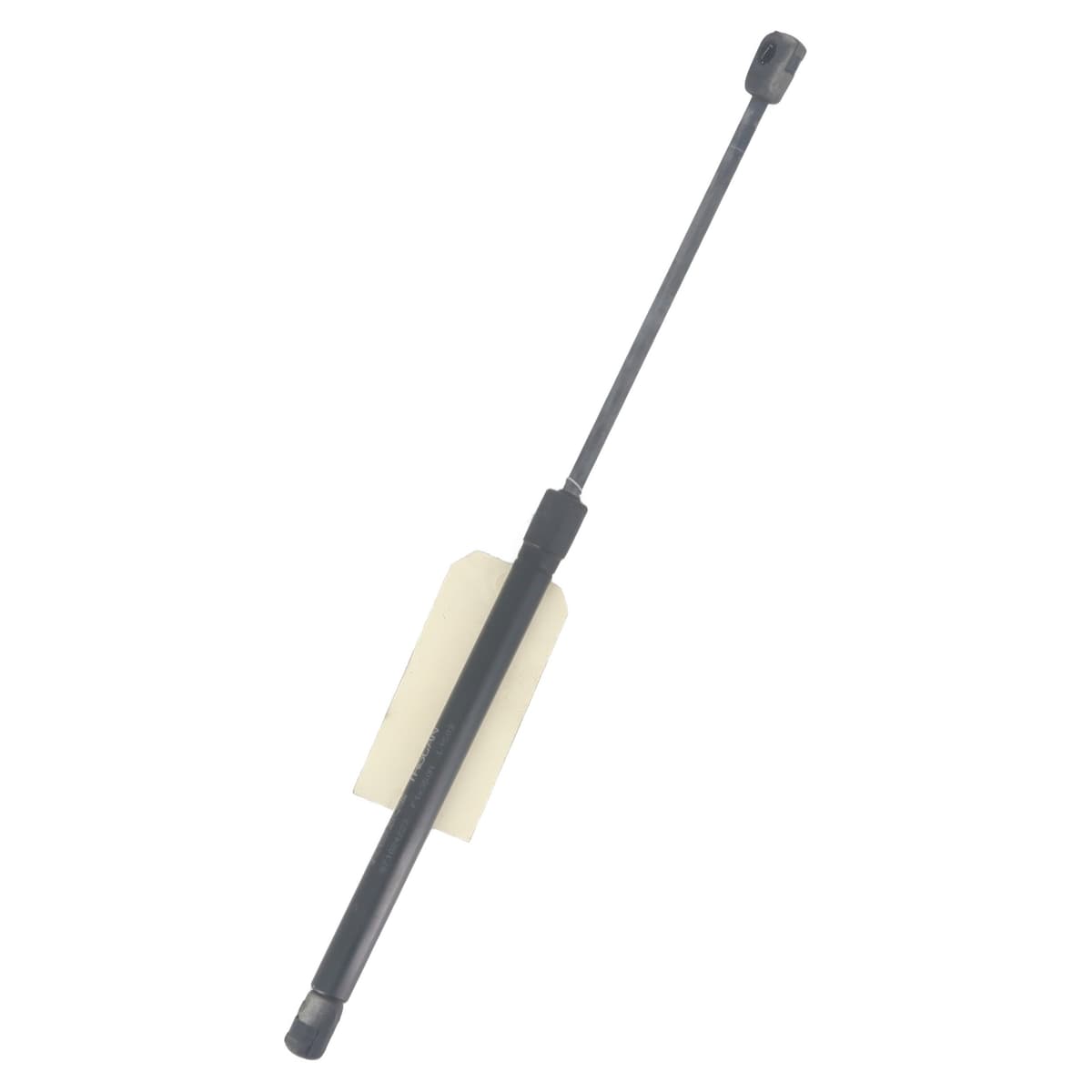 Image sélectionnée