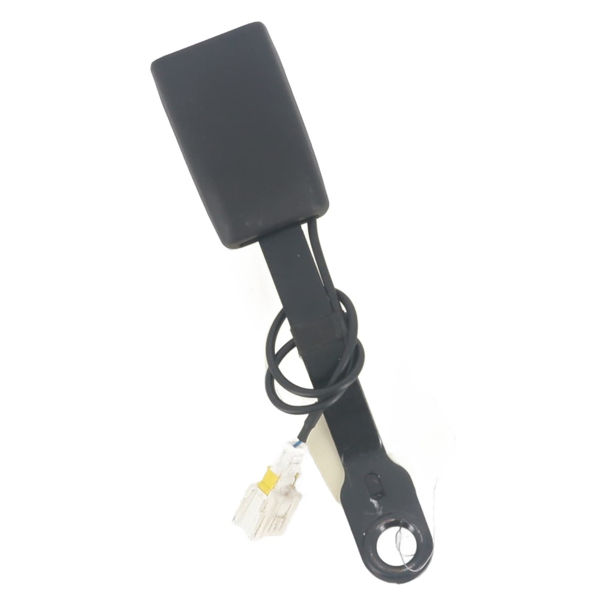 Image sélectionnée