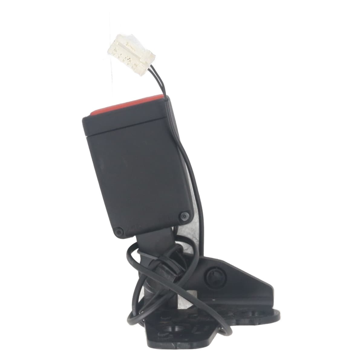 Image sélectionnée