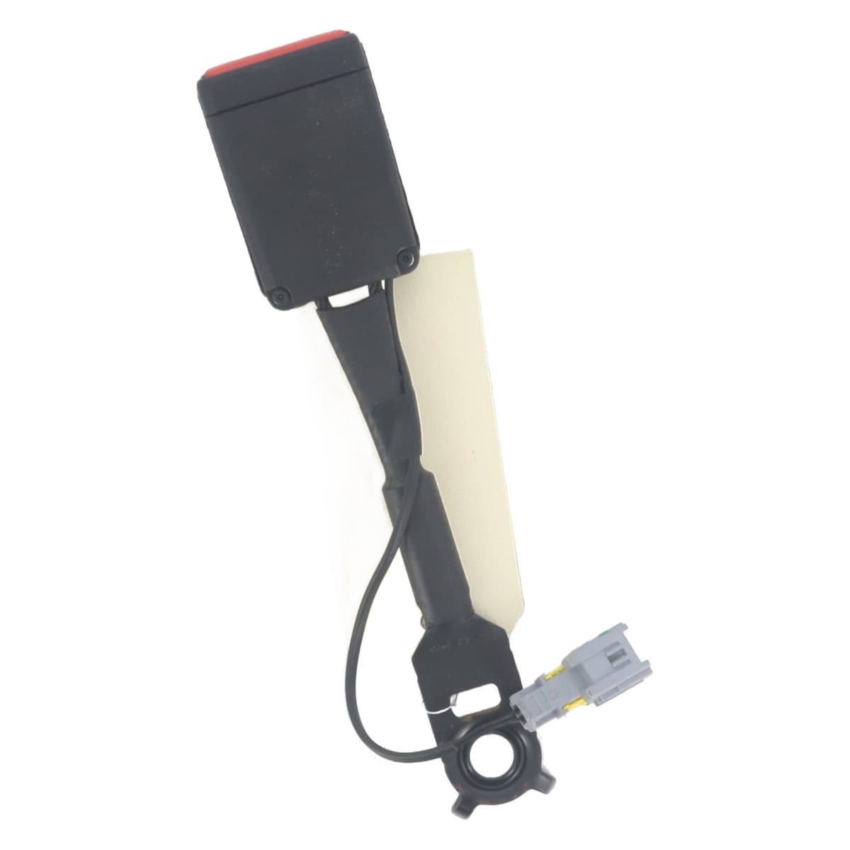 Image sélectionnée