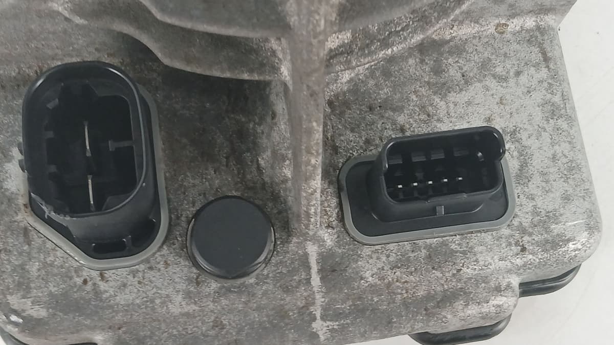 Image sélectionnée