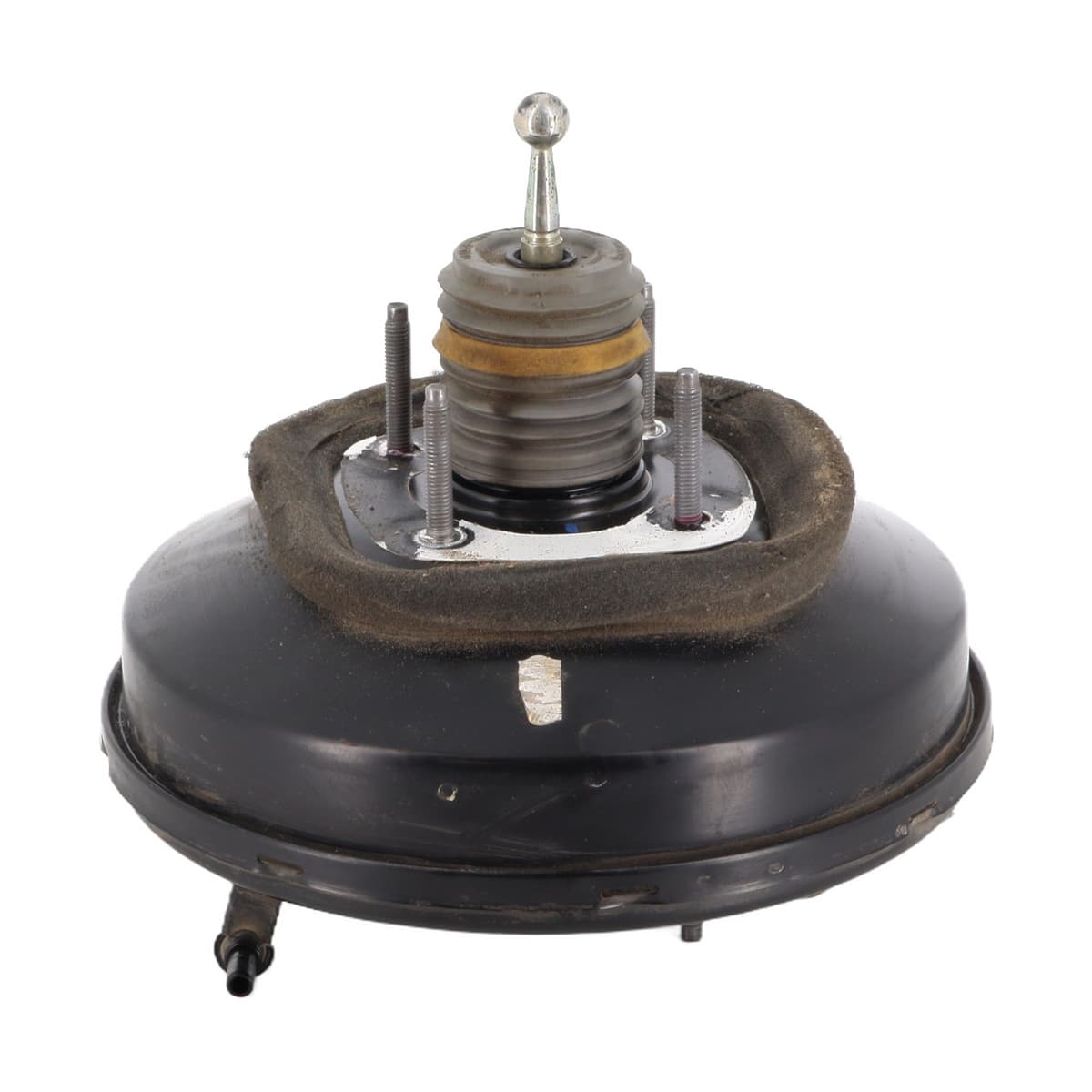 Image sélectionnée