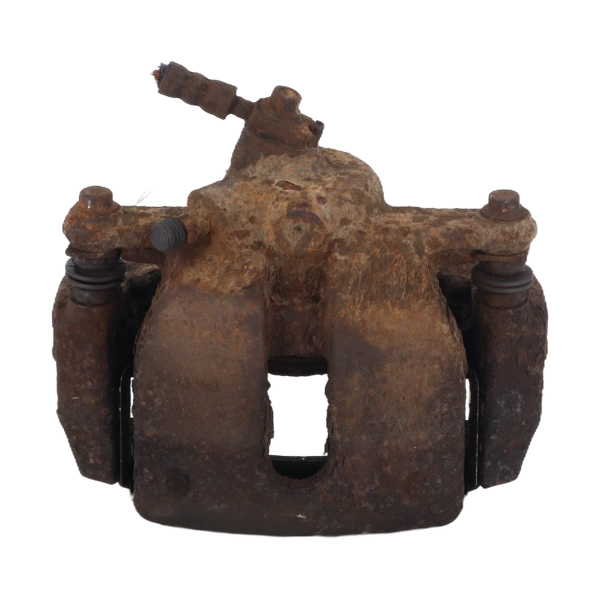 Image sélectionnée