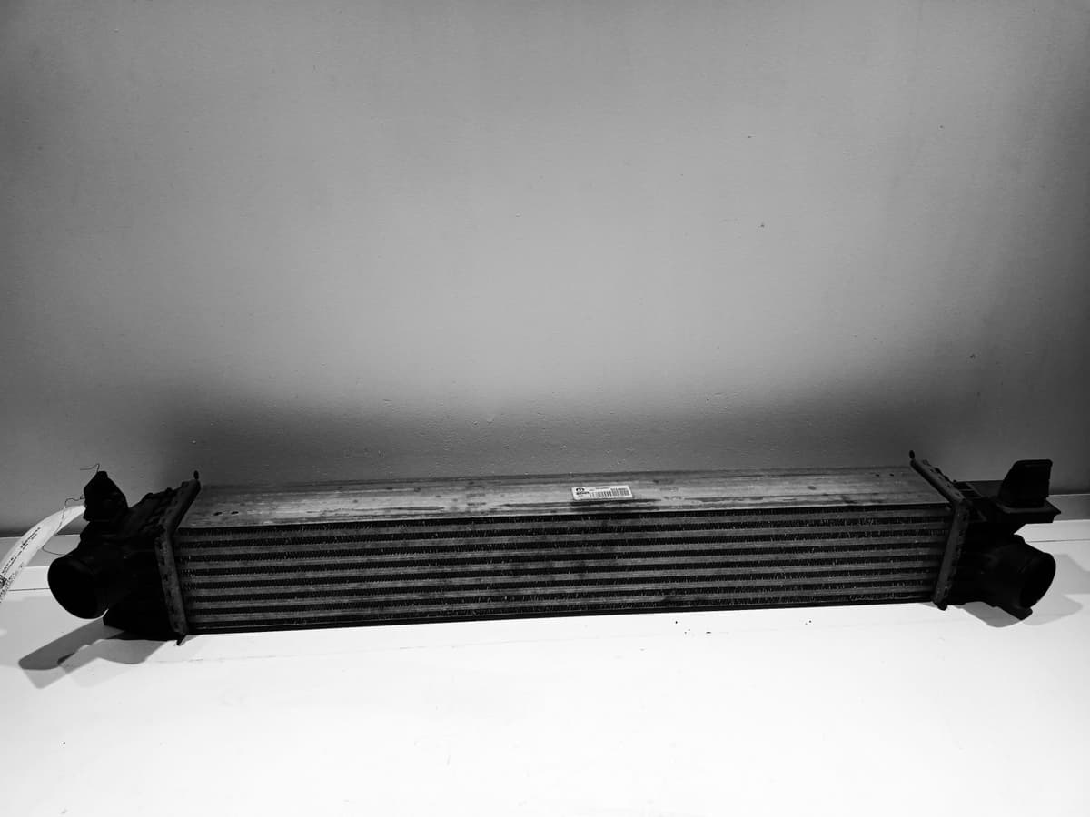 Image sélectionnée