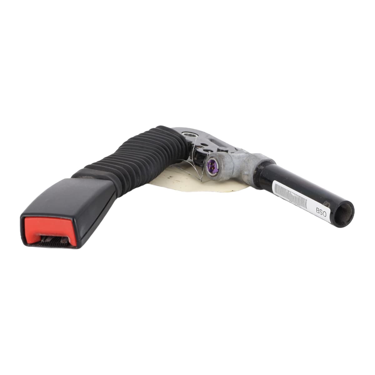 Image sélectionnée