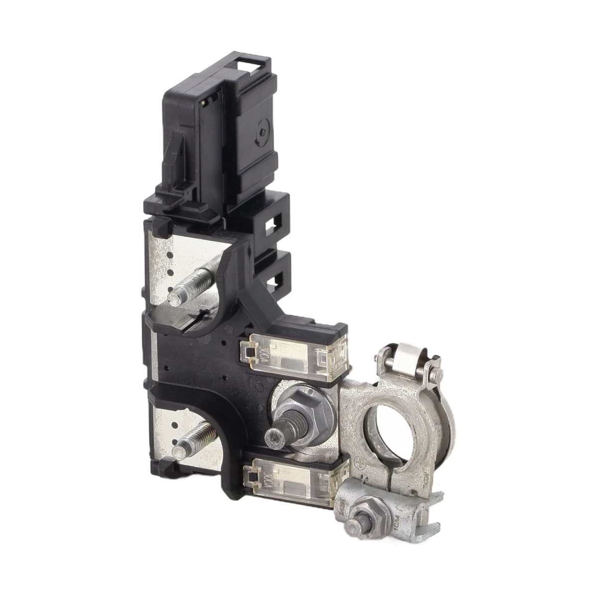 Image sélectionnée