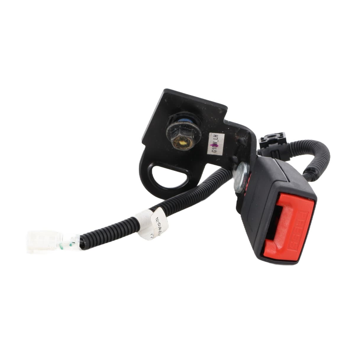 Image sélectionnée