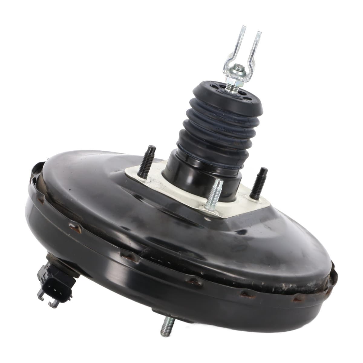 Image sélectionnée