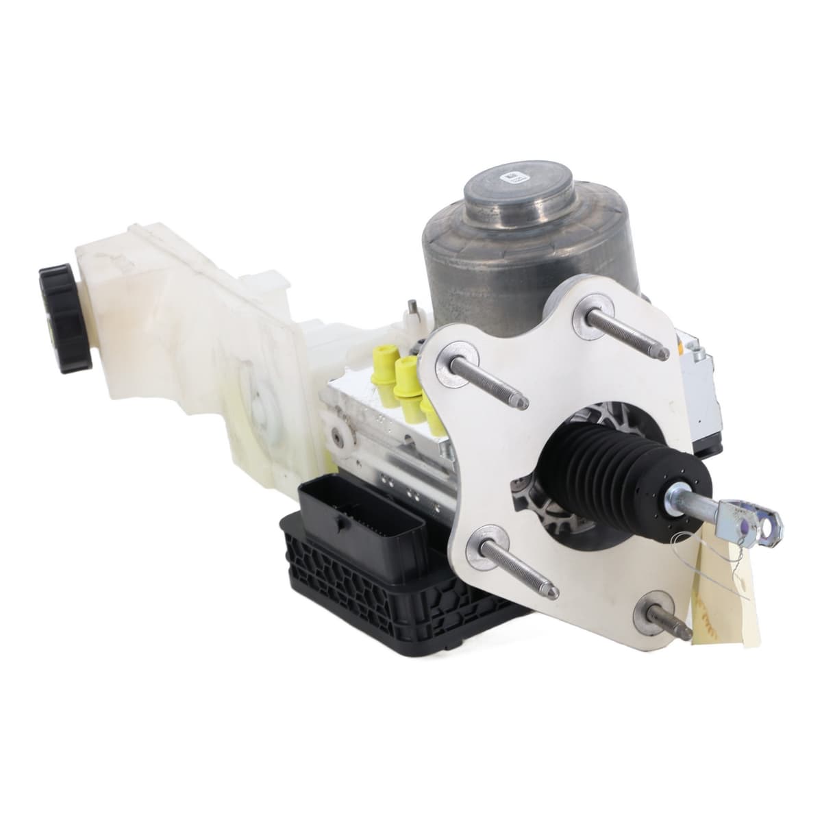 Image sélectionnée