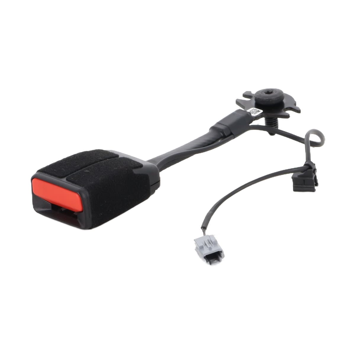 Image sélectionnée