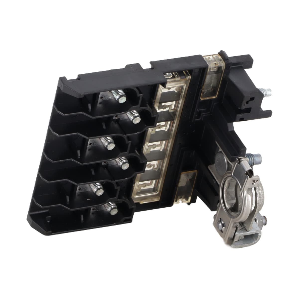 Image sélectionnée