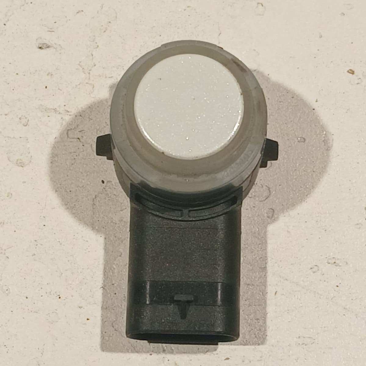 Image sélectionnée