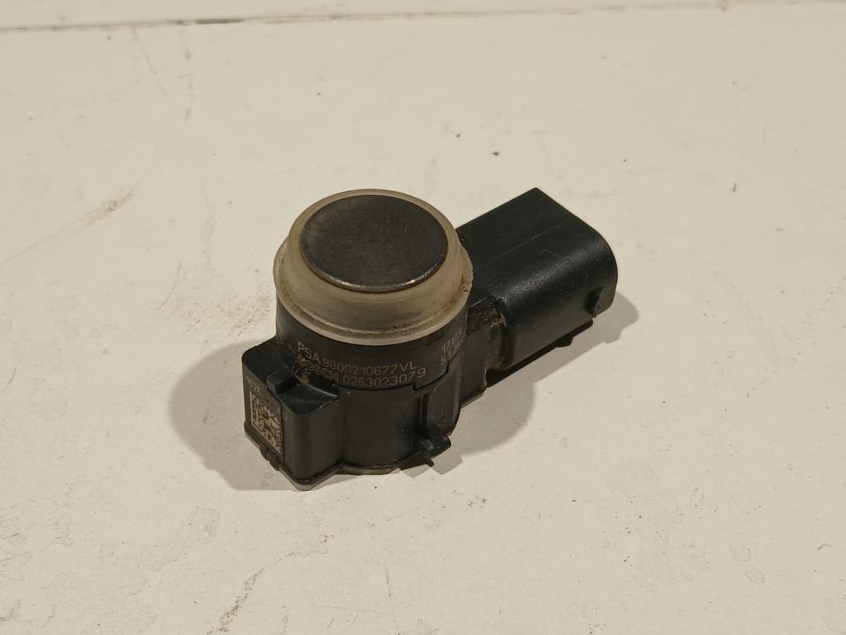 Image sélectionnée