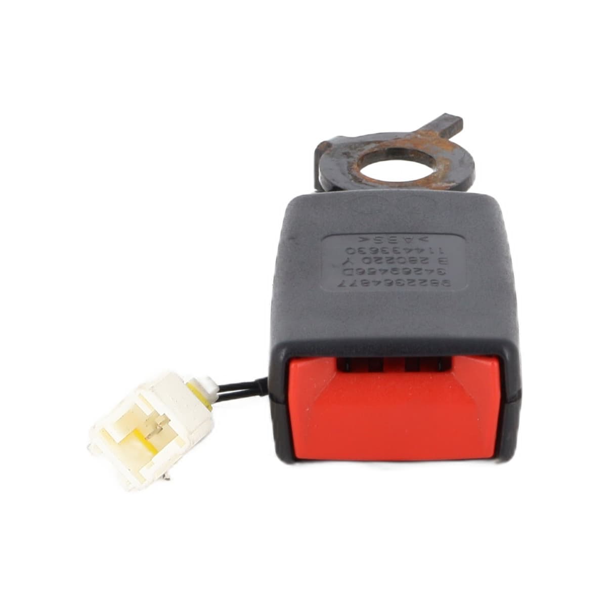 Image sélectionnée