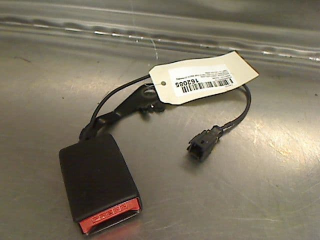 Image sélectionnée