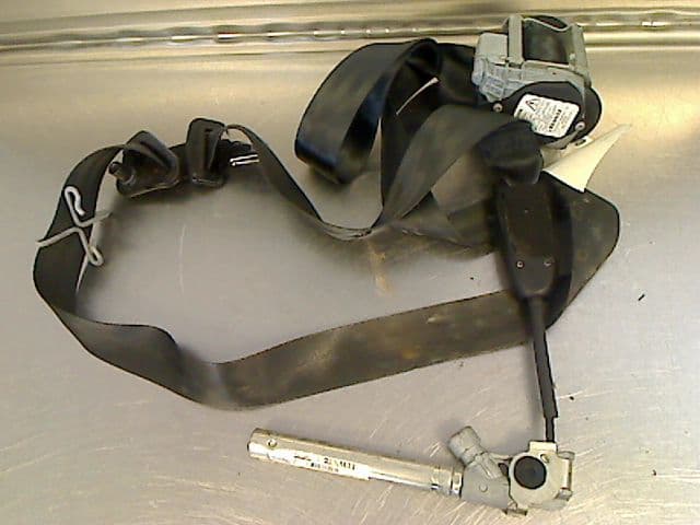 Image sélectionnée